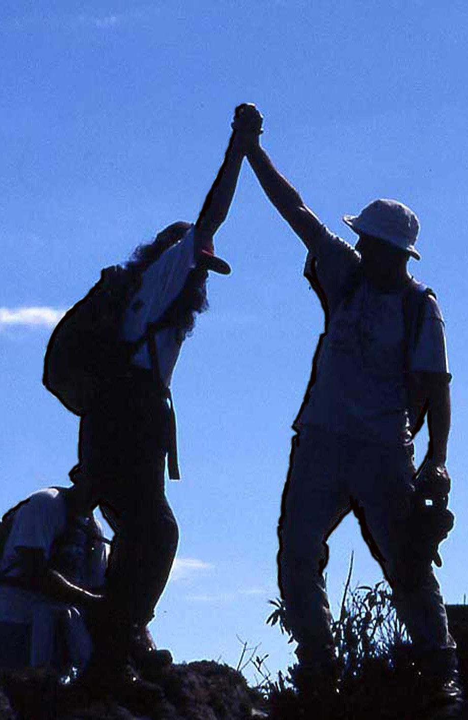 A importância da contabilidade e de bons controles internos